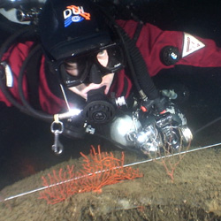 Kendall B-36 Tire Measurement