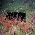 Underwater