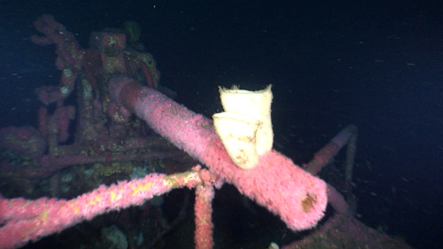 Aft Deck Gun of USS Vammen