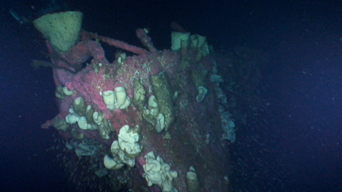 Bow of USS Vammen