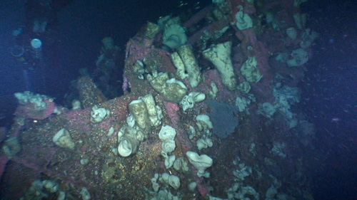 Stern of USS Vammen