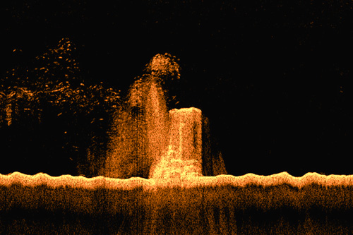 Vertical Sonar Image of Caisson